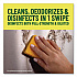 Multi-Surface Cleaner Disinfectant Concentrated, Pine Scent, 14 oz Bottle (60146EA)
