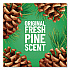 Multi-Surface Cleaner Disinfectant Concentrated, Pine Scent, 14 oz Bottle (60146EA)