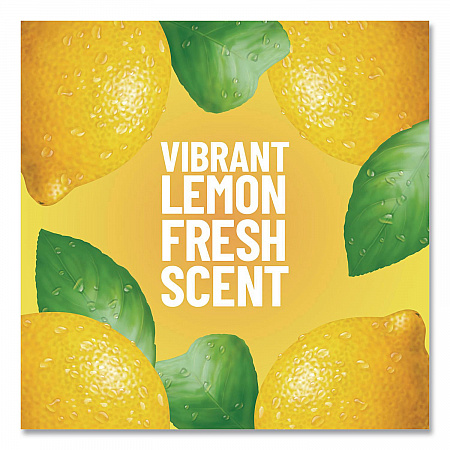 Multi-Surface Cleaner Concentrated, Lemon Fresh Scent, 14 oz Bottle, 12/Carton (60148CT)