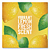 Multi-Surface Cleaner Concentrated, Lemon Fresh Scent, 14 oz Bottle, 12/Carton (60148CT)