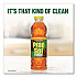 Multi-Surface Cleaner Disinfectant Concentrated, Pine Scent, 20 oz Bottle, 8/Carton (60149CT)
