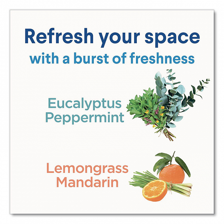 Disinfecting Mist, Eucalyptus Peppermint Scent, 16 oz Spray Bottle (60152)