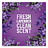 Multi-Surface Cleaner Concentrated, Lavender Clean Scent, 24 oz Bottle, 12/Carton (60153CT)