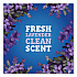 CloroxPro Multi-Surface Cleaner Concentrated, Lavender Clean Scent, 80 oz Bottle, 3/Carton (60608CT)