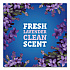 CloroxPro Multi-Surface Cleaner Concentrated, Lavender Clean Scent, 80 oz Bottle (60608EA)