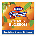 CloroxPro Fraganzia Multi-Purpose Cleaner, Citrus Blossom Scent, 175 oz Bottle, 3/Carton (60615CT)