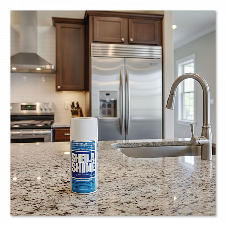 Stainless Steel Cleaner and Polish, 10 oz Aerosol Spray (1EA)