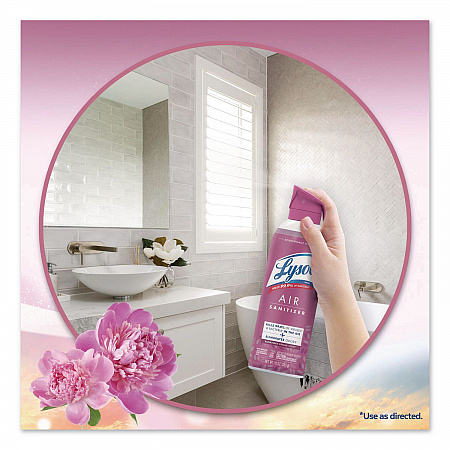 Air Sanitizing Spray, Sunkissed Petals Scent, 10 oz Aerosol Spray (1920056148)