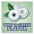 Hard Candy Mints, Wint-O-Green, 44.93 oz Bag (21524)