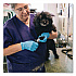 Nitrile Exam Gloves, Powder-Free, X-Small, 3 mil Thick, 9.5