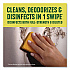Multi-Surface Cleaner Disinfectant Concentrated, Original Pine Scent, 40 oz Bottle (60164EA)