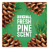 Multi-Surface Cleaner Disinfectant Concentrated, Original Pine Scent, 40 oz Bottle (60164EA)