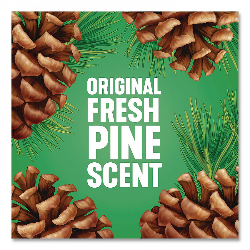 Multi-Surface Cleaner Disinfectant Concentrated, Original Pine Scent, 40 oz Bottle (60164EA)