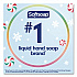 Limited Edition Frosty Mint Liquid Hand Soap, Peppermint Scent, 11 oz Pump Bottle (61023761)