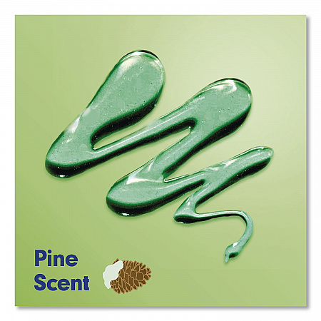Limited Edition Wonderful Winter Liquid Hand Soap, Pine Scent, 11.25 oz Pump Bottle (61023766)