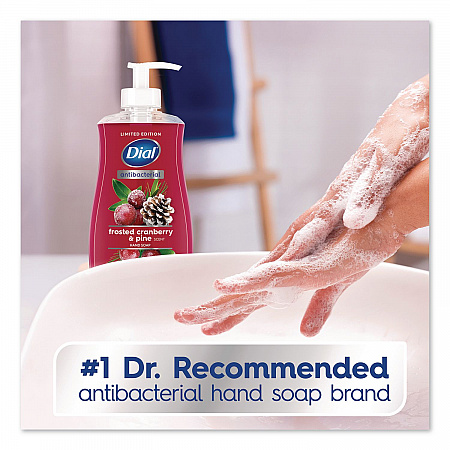 Antibacterial Liquid Hand Soap, Limited Edition, Frosted Cranberry and Pine Scent, 11 oz Pump Bottle (1700035953)