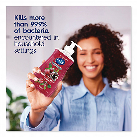Antibacterial Liquid Hand Soap, Limited Edition, Frosted Cranberry and Pine Scent, 11 oz Pump Bottle (1700035953)
