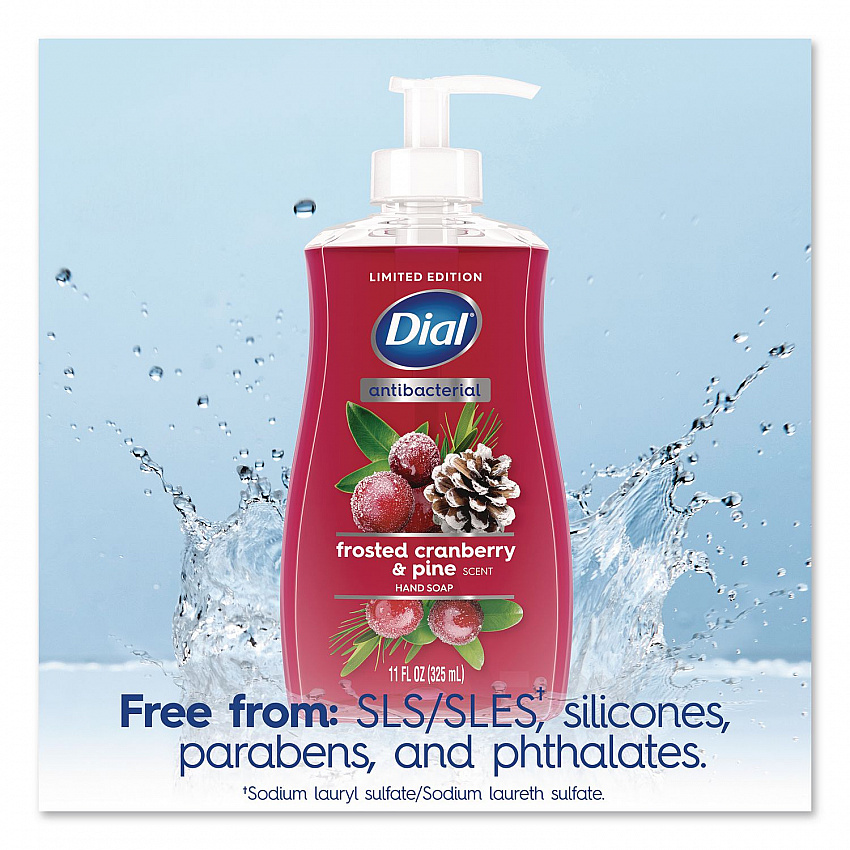 Antibacterial Liquid Hand Soap, Limited Edition, Frosted Cranberry and Pine Scent, 11 oz Pump Bottle (1700035953)