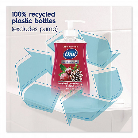 Antibacterial Liquid Hand Soap, Limited Edition, Frosted Cranberry and Pine Scent, 11 oz Pump Bottle (1700035953)