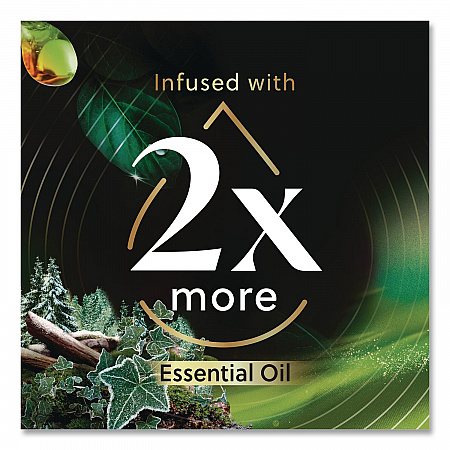 Vibrant Scented Oil Warmer Refill, Limited Edition, Winter Woods and Frosted Ivy, 0.67 oz, 2/Pack (6233803463)