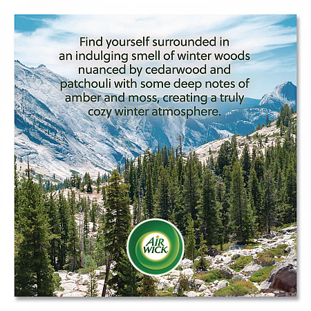 Vibrant Scented Oil Warmer Refill, Limited Edition, Winter Woods and Frosted Ivy, 0.67 oz, 2/Pack (6233803463)