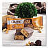 Protein Bars, Chocolate Peanut Butter, 1.9 oz Bar, 12/Box (QUN01179)