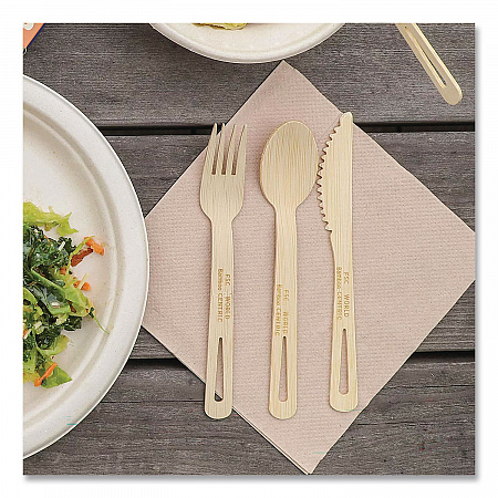 Bamboo Cutlery, Medium Heavyweigh, Spoon, Paper, Natural, 24/Pack (SPBBR)