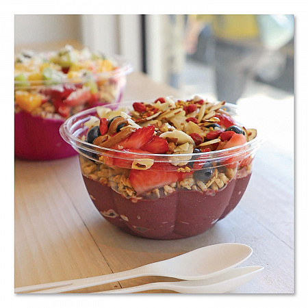 PLA Salad Bowls, 16 oz, 5.4