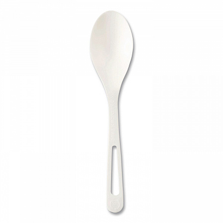 TPLA Cutlery, Medium Heavyweight, Spoon, Plastic, Light Beige, 24/Pack (SPPSR)