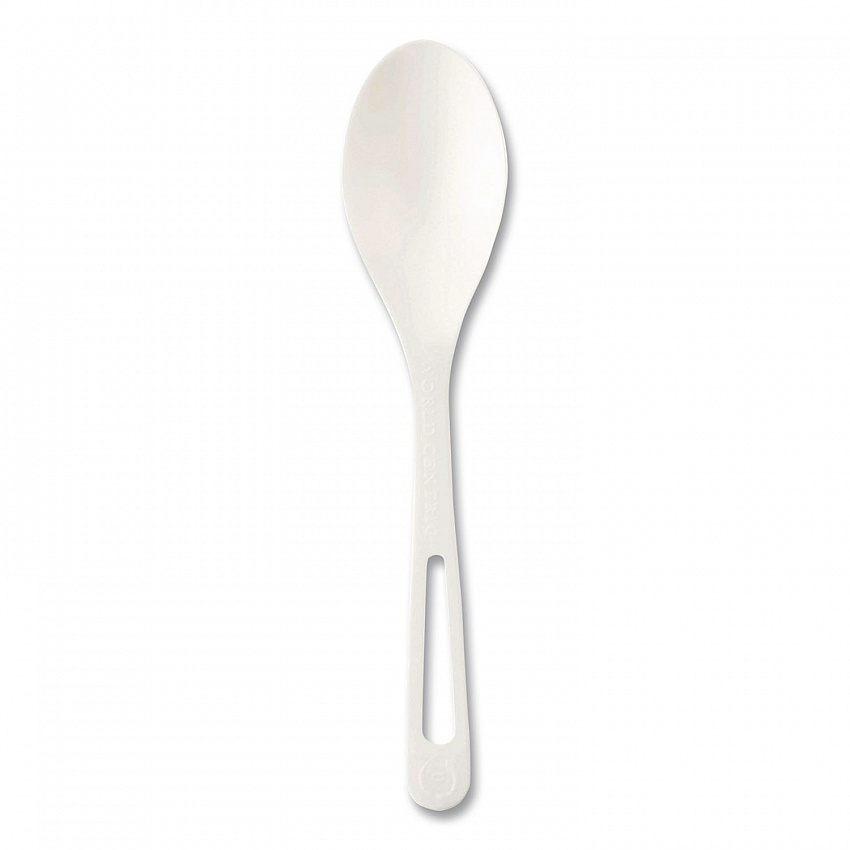 TPLA Cutlery, Medium Heavyweight, Spoon, Plastic, Light Beige, 24/Pack (SPPSR)
