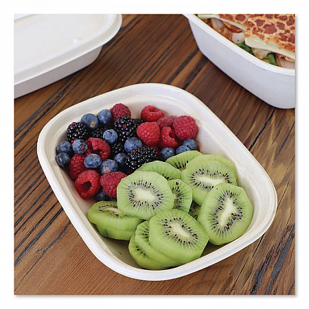 Laminated Fiber Containers, 20 oz, 6.7 x 8.7 x 1.7, Natural, Sugarcane Fiber, 400/Carton (CTSC20LLF)