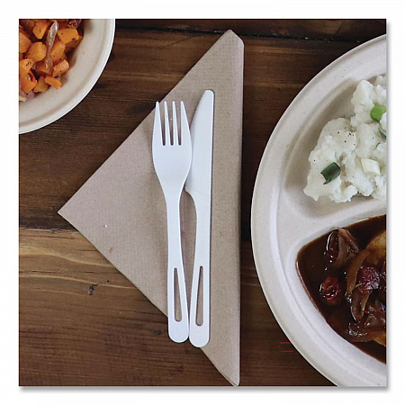 TPLA Cutlery, Medium Heavyweight, Fork, Plastic, Light Beige, 24/Pack (FOPSR)
