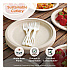 TPLA Cutlery, Medium Heavyweight, Fork, Plastic, Light Beige, 24/Pack (FOPSR)