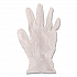 V5101 Series Latex-Free Lightly Powdered Vinyl Gloves, Large, 3 mil Thick, 9