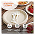 TPLA Cutlery, Medium Heavyweight, Spoon, Plastic, Light Beige, 24/Pack (SPPSR)