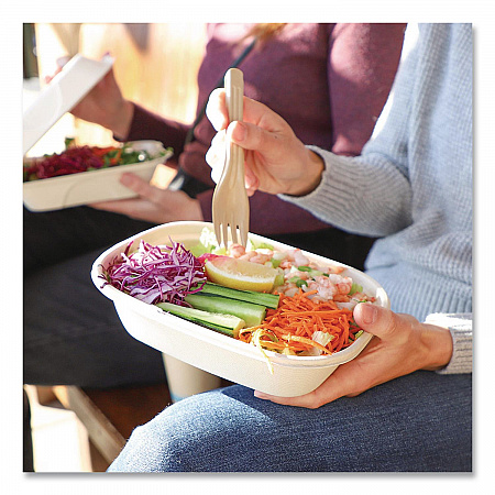 NoTree Cutlery, Light Mediumweight, Fork, Paper, Natural, 1,000/Carton (FONT6)