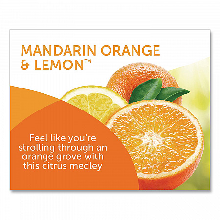 Super Odor Eliminator, Mandarin Orange and Fresh Lemon, 14 oz Jar (900013EA)