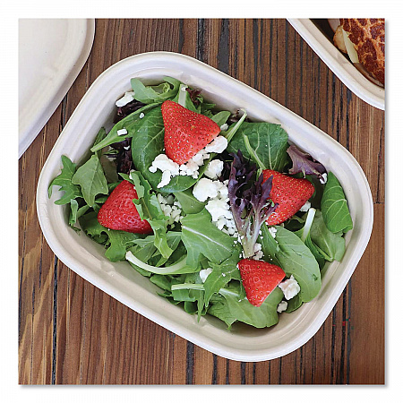Laminated Fiber Containers, 30 oz, 6.7 x 8.7 x 2.1, Natural, Sugarcane Fiber, 400/Carton (CTSCU2LLF)