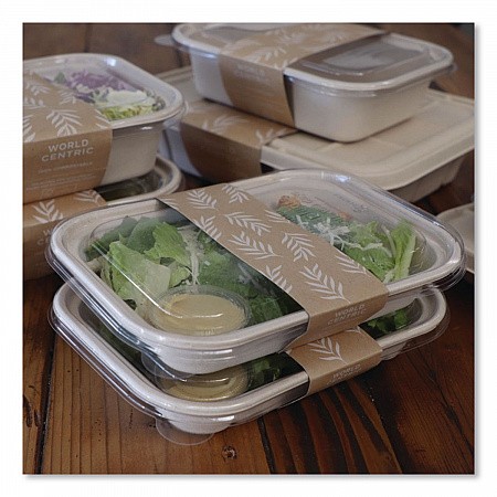 PLA Lids for Fiber Containers, 6.3 x 8.2 x 0.5, Clear, Plastic, 400/Carton (TRLCS8)