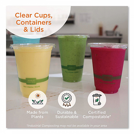 PLA Lids for Fiber Containers, 6.3 x 8.2 x 0.5, Clear, Plastic, 400/Carton (TRLCS8)