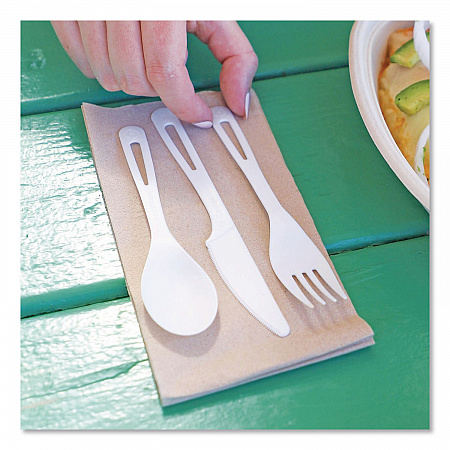 TPLA Cutlery, Medium Heavyweight, Fork/Knife/Spoon, Plastic, Light Beige, 24/Pack (ASPSR)