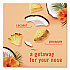 AIR, Hawaiian Aloha, 8.1 oz Aerosol Spray, 2/Pack (21321PK)