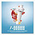 FitSip Flavor Cartridge, Sugar-Free White Cherry (850021373436)