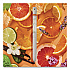 Essential Oil Blends Pen Diffuser, Citrus Grove Scent, White (112502)