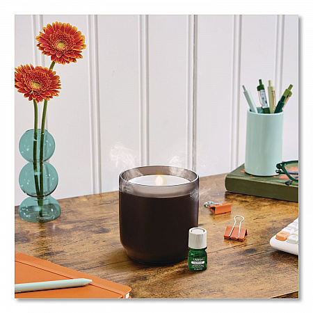 Aromatherapy Essential Oil Flameless Candle Diffuser, Fir Needle and Pine Scent Essential Oil, 5 x 5 x 5, Frosted Glass (111612)