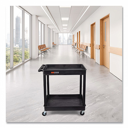 ENDURA Two-Shelf Utility Cart, Plastic, 400 lb Capacity, 32 x 24 x 37.5. Black (TC11)