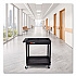 ENDURA Two-Shelf Utility Cart, Plastic, 400 lb Capacity, 32 x 24 x 37.5. Black (TC11)