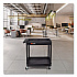 ENDURA Two-Shelf Utility Cart, Plastic, 400 lb Capacity, 32 x 24 x 37.5. Black (TC11)