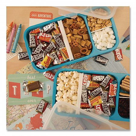 Chocolate Miniatures Party Pack Assortment, 35.9 oz Bag, 2 Bags/Carton (24600403)