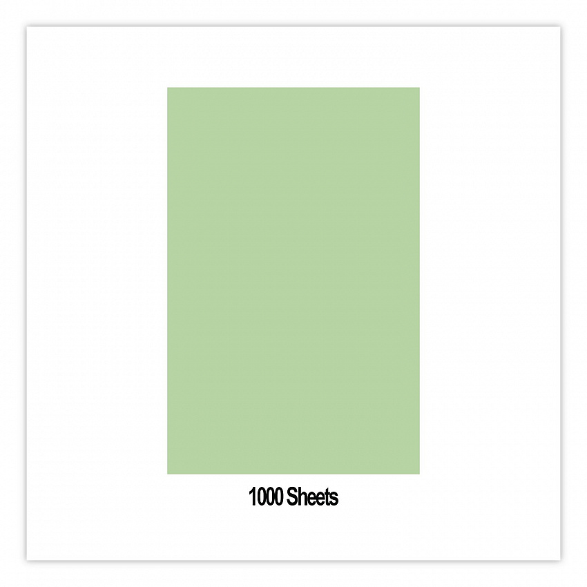 Steak Paper, 9 x 12, Green, 1,000/Carton (101912)